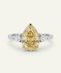 Wedding Rings