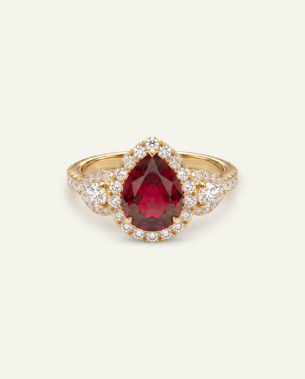 Aanika V. Lab-created Ruby & Lab-grown Diamond Halo Ring